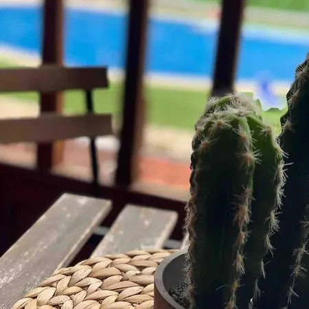 Coqueto En El Palm-mar. Apartamento