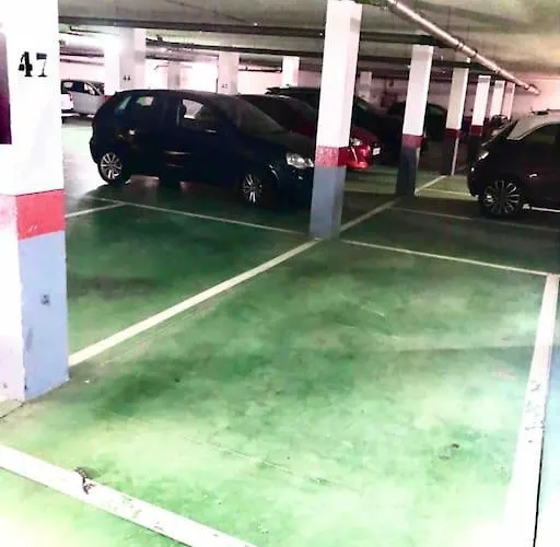 Coqueto En El Palm-mar. Arona (Tenerife)