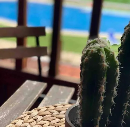 Coqueto En El Palm-mar. Appartement